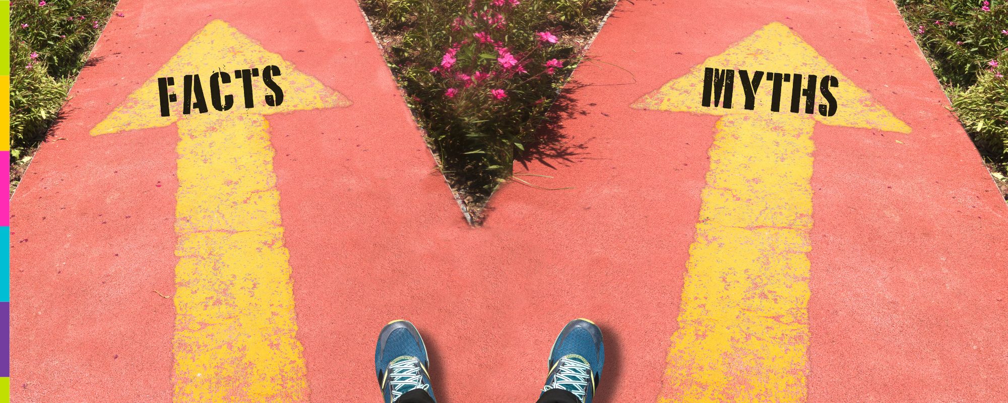 Mitos realidades simulacros Saber PRO 11° Mitos simulacros Saber PRO 11°